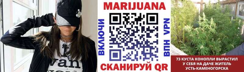 ОМГ ОМГ маркетплейс  где купить   Темников  darknet Telegram  Шишки марихуана план 